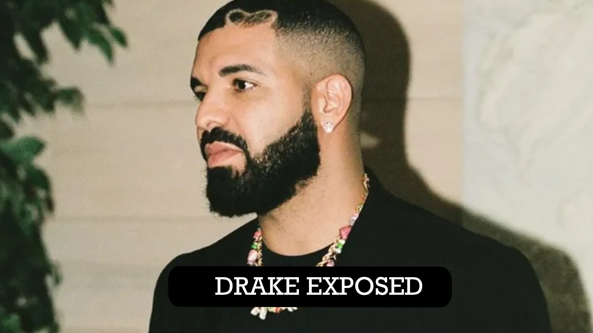 drake exposed