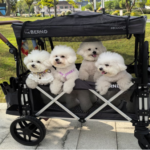 Stroller for Dogs