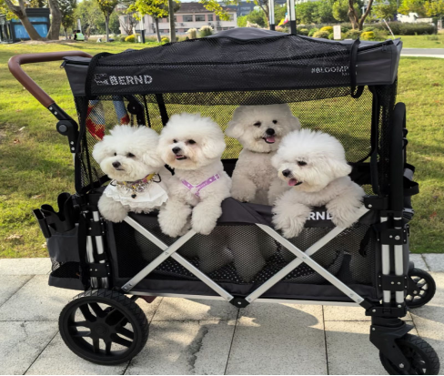 Stroller for Dogs