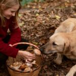 Dog’s Cognitive Vitality