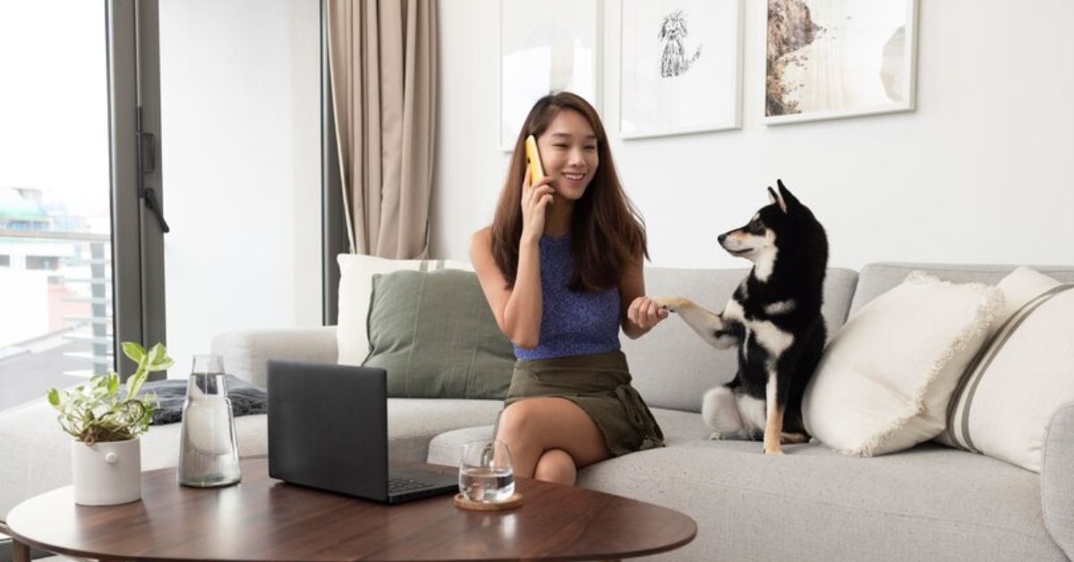 What Are the Must-Have Pet Amenities in Modern Apartments?