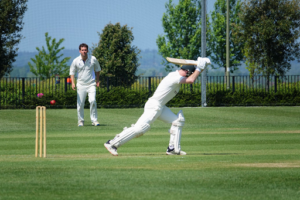 Cricket World Cup