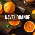 navel orange