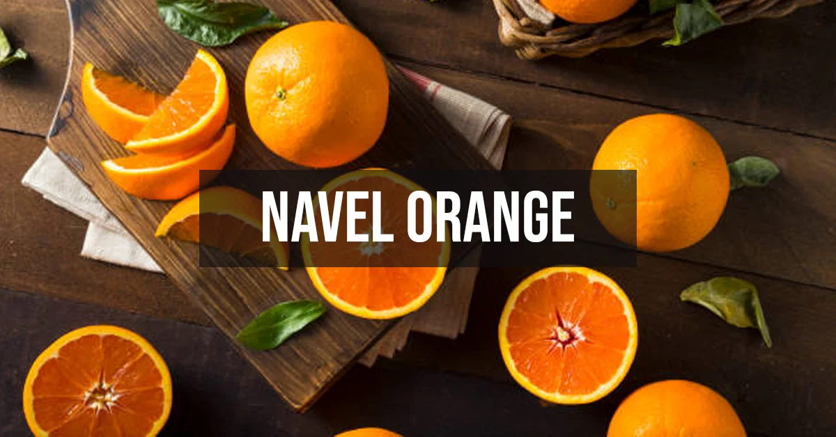 navel orange