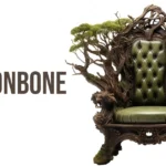 the dragonbone chair