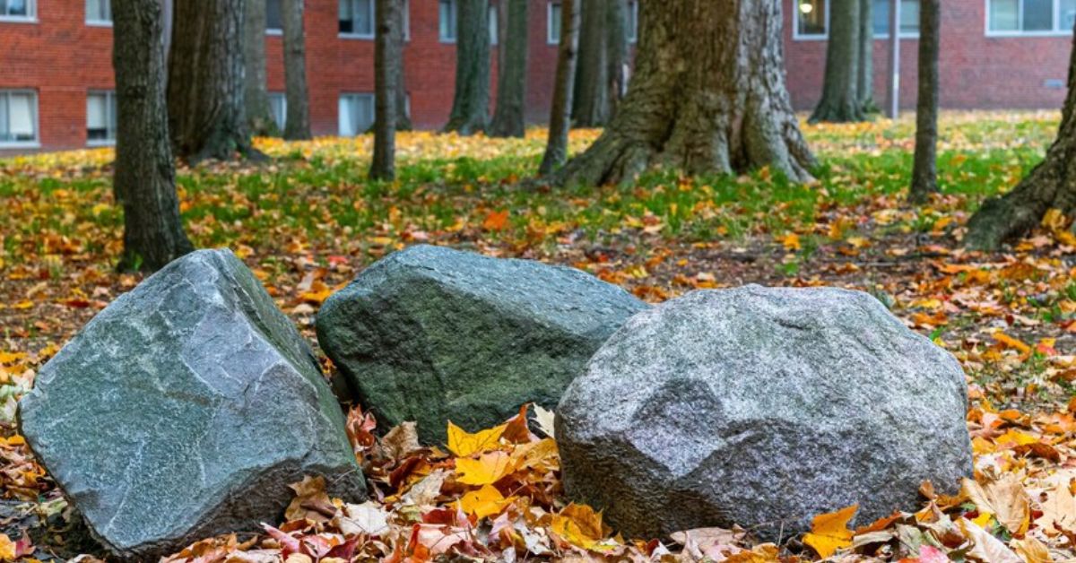 Rockery Landscaping