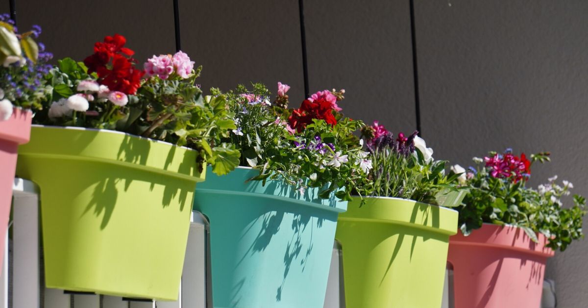 Planters for Seasonal Decorations