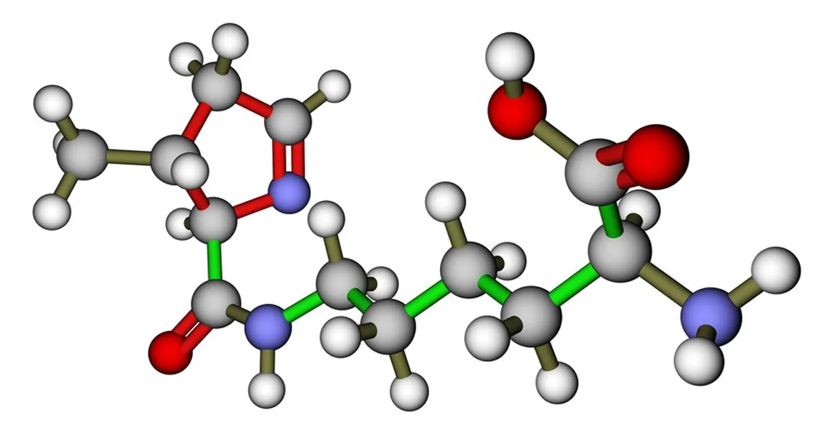 doctorhub360.com amino acids