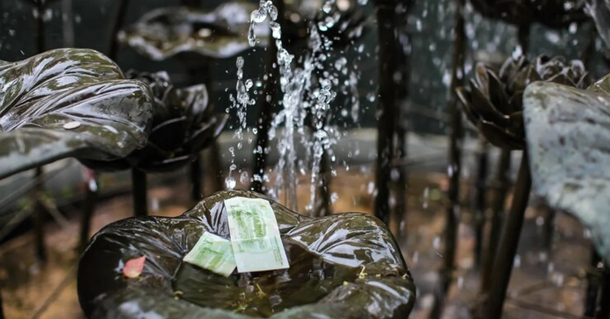 Collect Rainwater