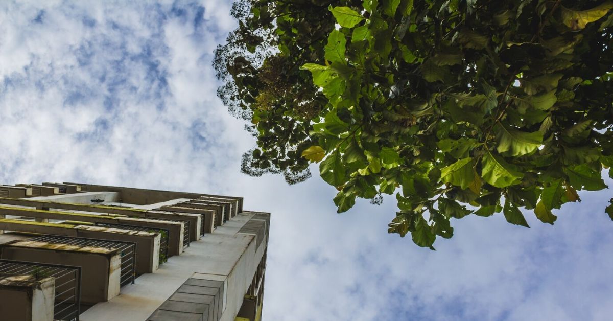 Tree Removal in Melbourne