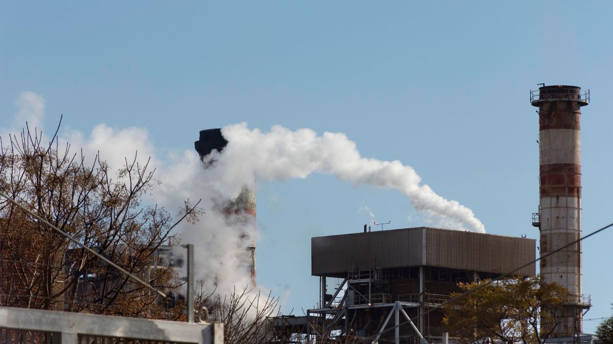Skipping Chimney Cleaning