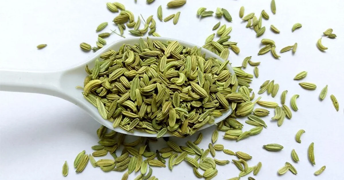 fennel and fennel seeds