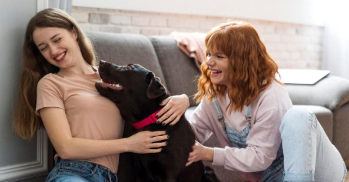 Adorning Your Companions: The Rise of Pet Jewelry