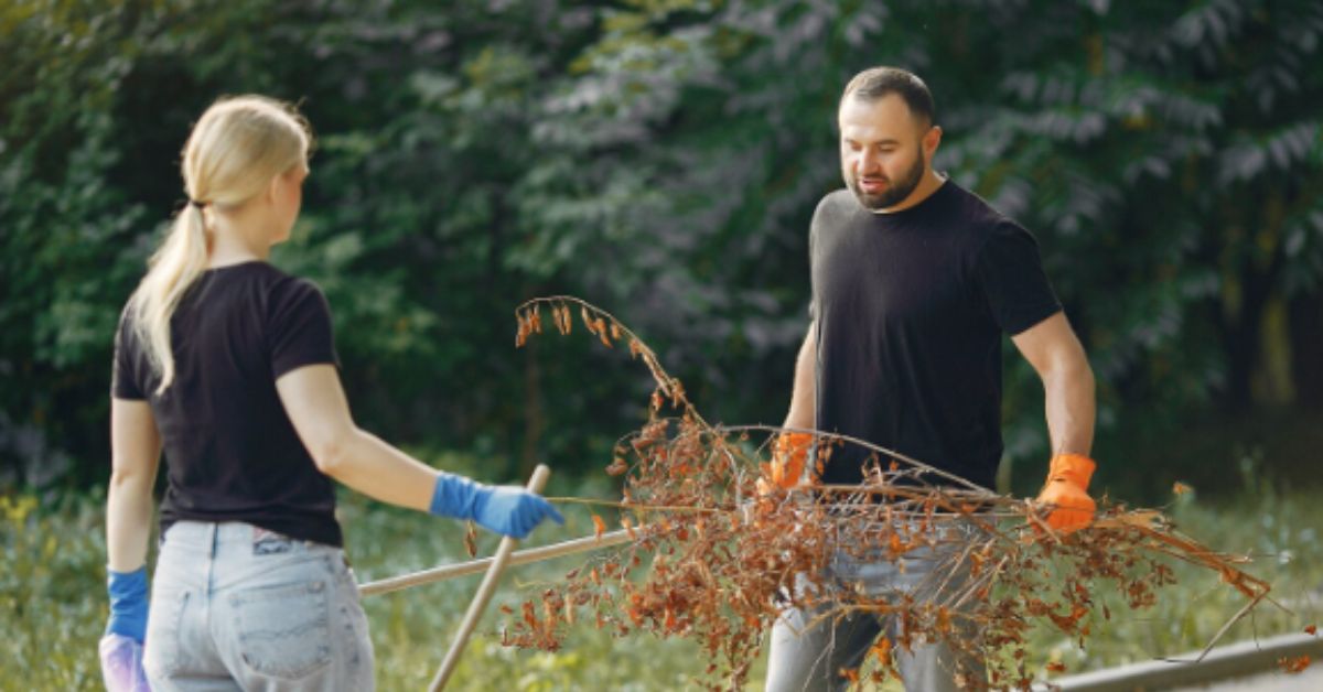 Garden Path Looks Dull