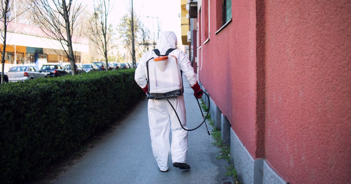 Reputable Extermination