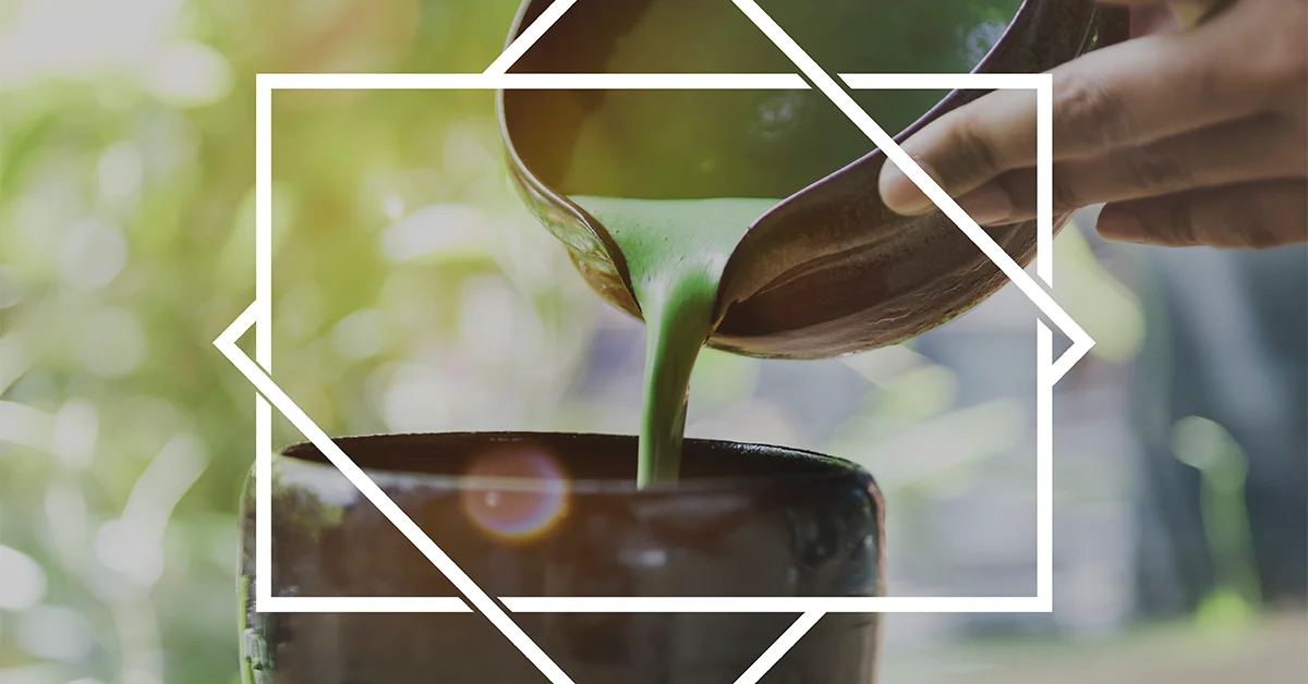 what does matcha taste like